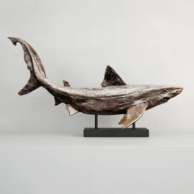 Relief of a swimming shark
